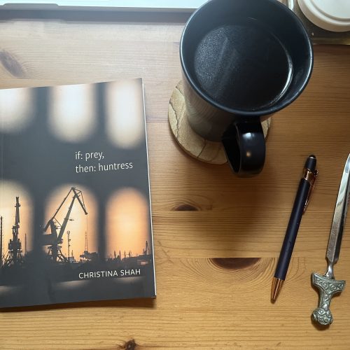 The debut full-length collection from Christina Shah contains ground-level poetry of the mundane, quotidian world