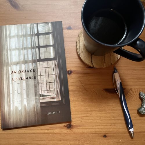 Gillian Sze’s seventh poetry collection searches for meaning in the empty spaces between words