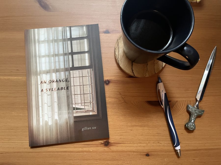 Gillian Sze’s seventh poetry collection searches for meaning in the empty spaces between words