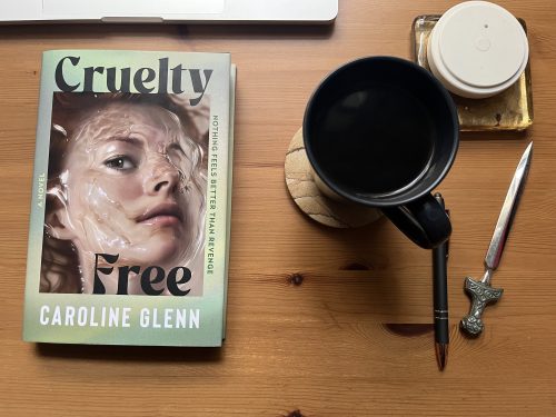Attend the tale: Caroline Glenn’s debut novel is a slick, sick satire that wears its influences on its sleeve