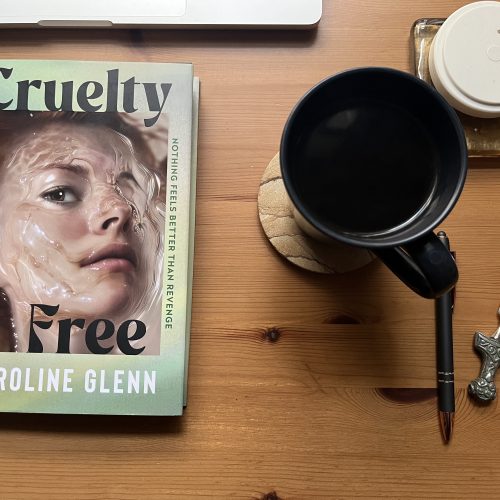 Attend the tale: Caroline Glenn’s debut novel is a slick, sick satire that wears its influences on its sleeve