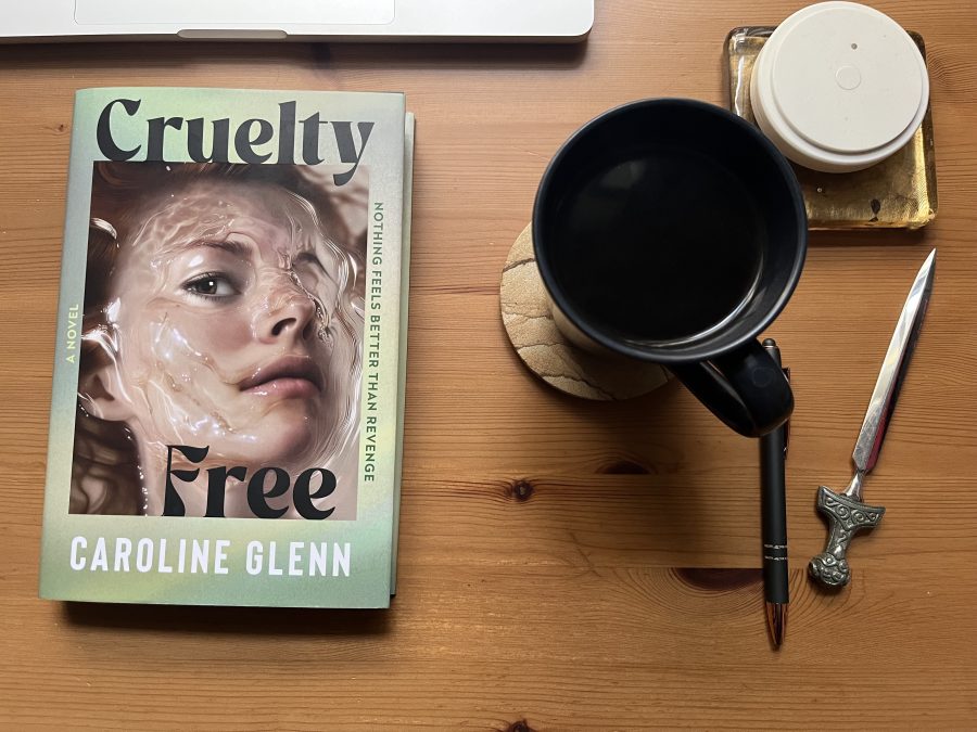 Attend the tale: Caroline Glenn’s debut novel is a slick, sick satire that wears its influences on its sleeve