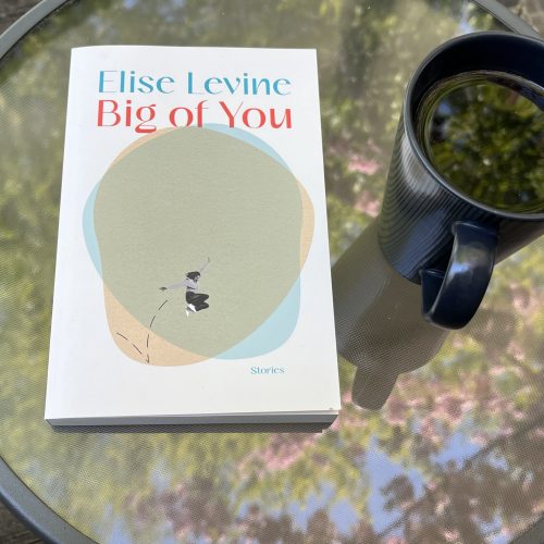 31 Days of Stories 2026, Day 17: “Penetrating Wind Over Open Lake” by Elise Levine