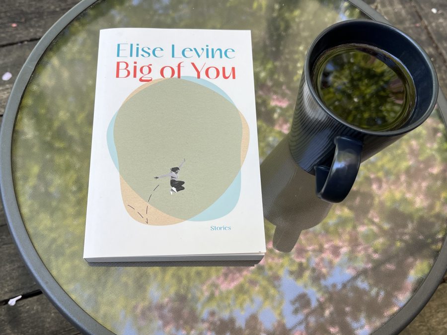31 Days of Stories 2026, Day 17: “Penetrating Wind Over Open Lake” by Elise Levine