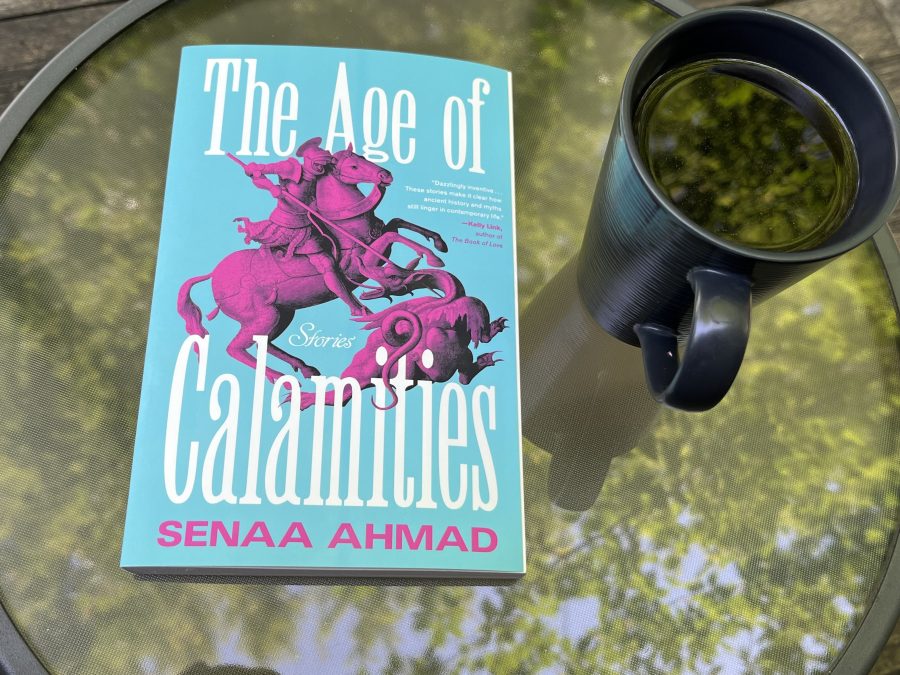 31 Days of Stories 2026, Day 29: “Our Lady of Resplendent Misfortune” by Senaa Ahmad