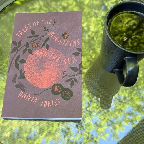 31 Days of Stories 2026, Day 23: “What We Do When No One Is Watching” by Dania Idriss