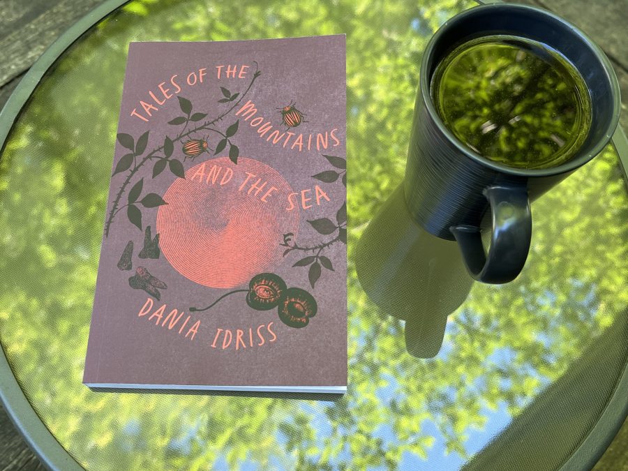 31 Days of Stories 2026, Day 23: “What We Do When No One Is Watching” by Dania Idriss