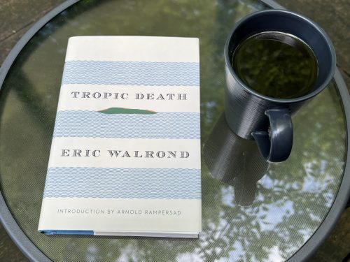 31 Days of Stories 2026, Day 31: “The Wharf Rats” by Eric Walrond