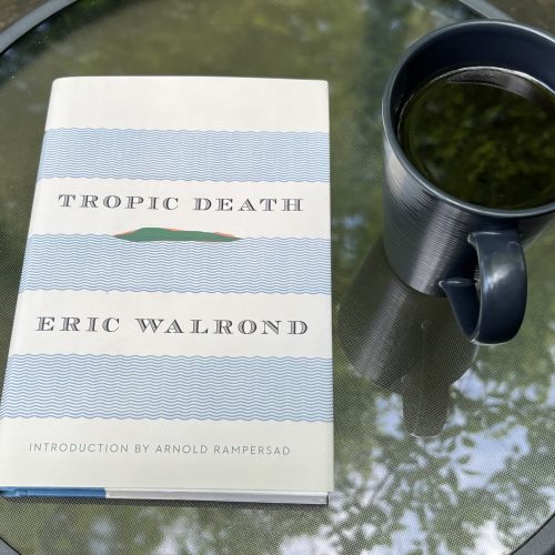 31 Days of Stories 2026, Day 31: “The Wharf Rats” by Eric Walrond