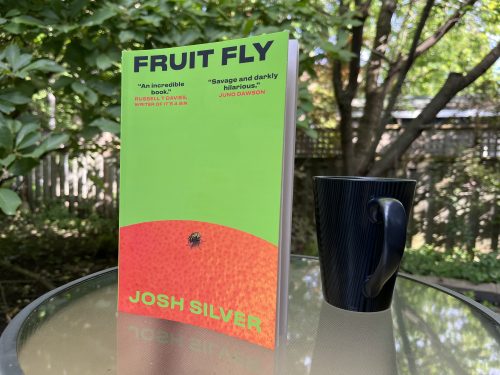 Josh Silver’s debut novel for adults does double duty as a dark thriller and a satire of the modern publishing industry