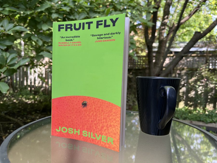 Josh Silver’s debut novel for adults does double duty as a dark thriller and a satire of the modern publishing industry
