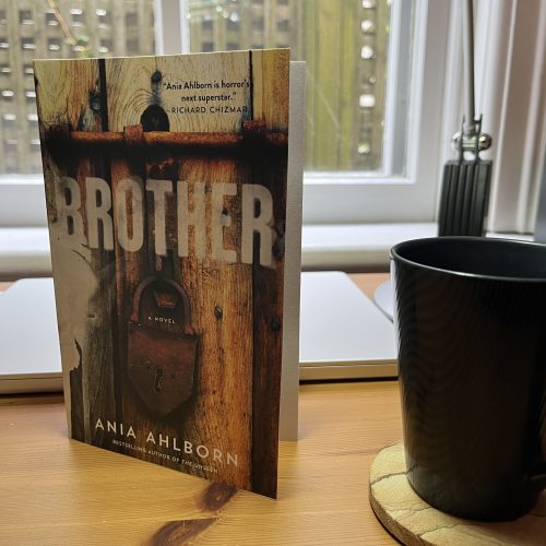 Ania Ahlborn’s hillbilly horror novel Brother is a bleakly aversive treat