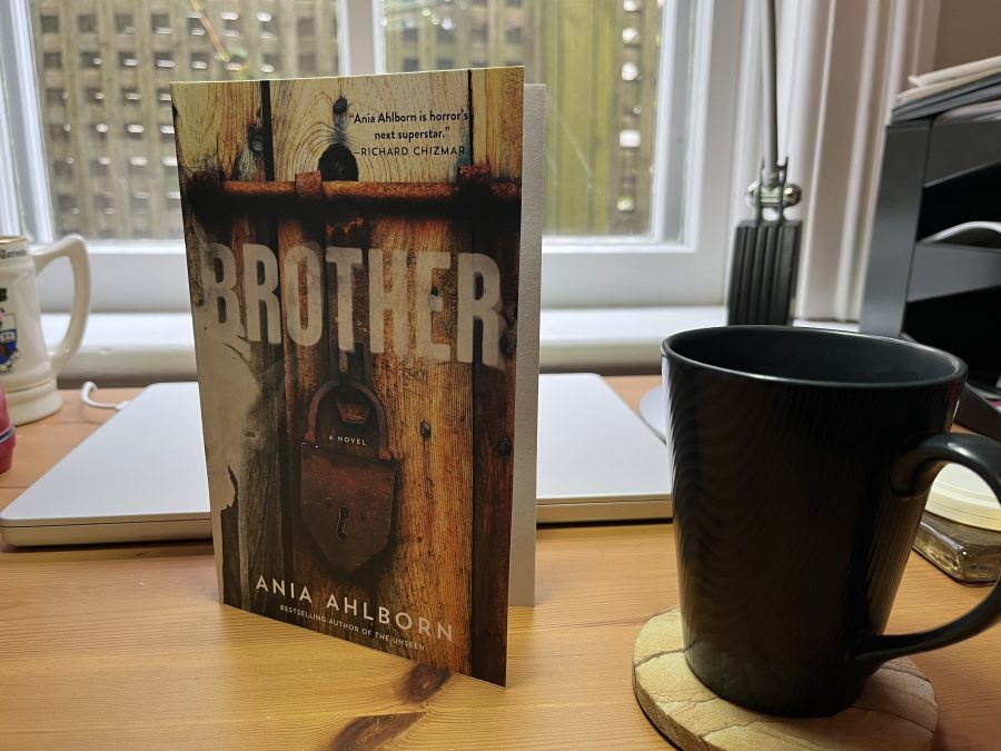 Ania Ahlborn’s hillbilly horror novel Brother is a bleakly aversive treat